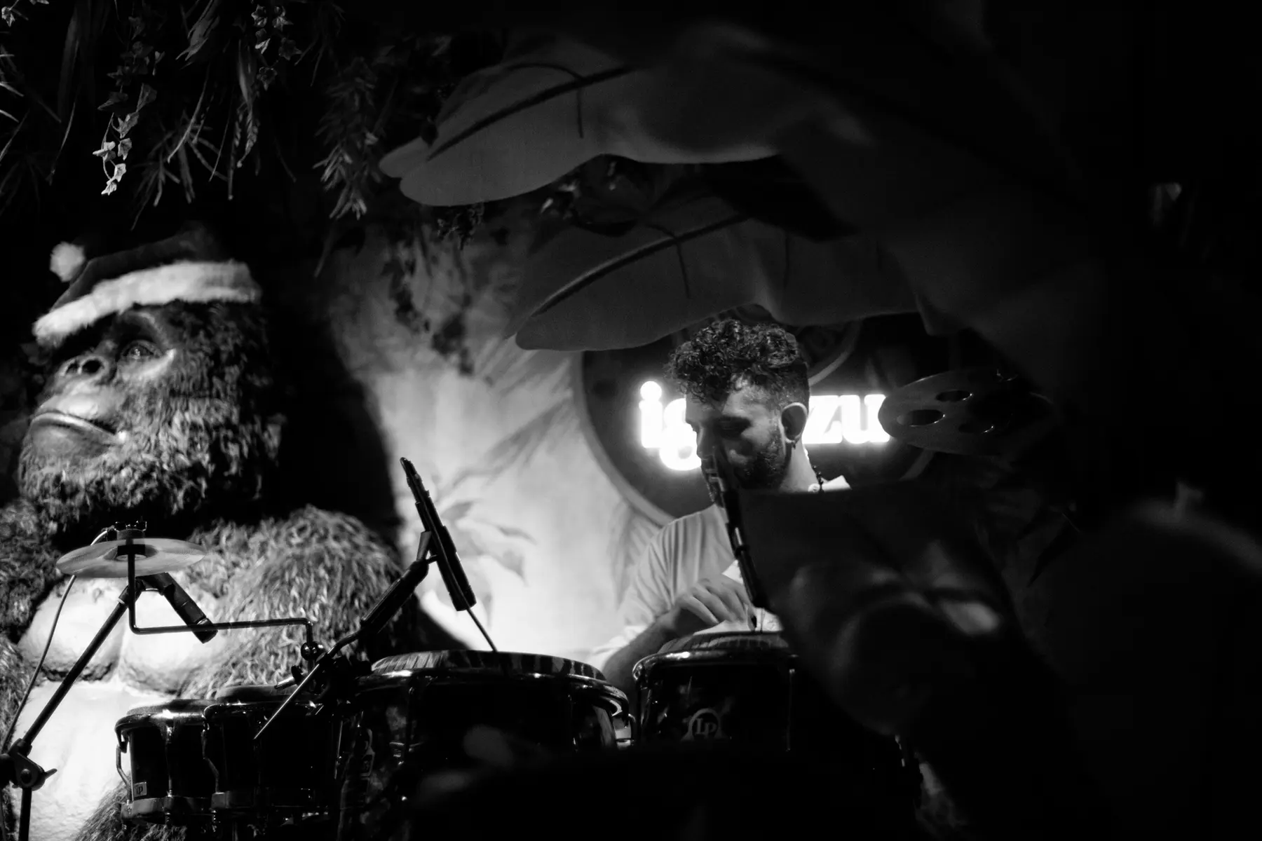 Il gorilla e un percussionista, in bianco e nero, da Iguazu Athens