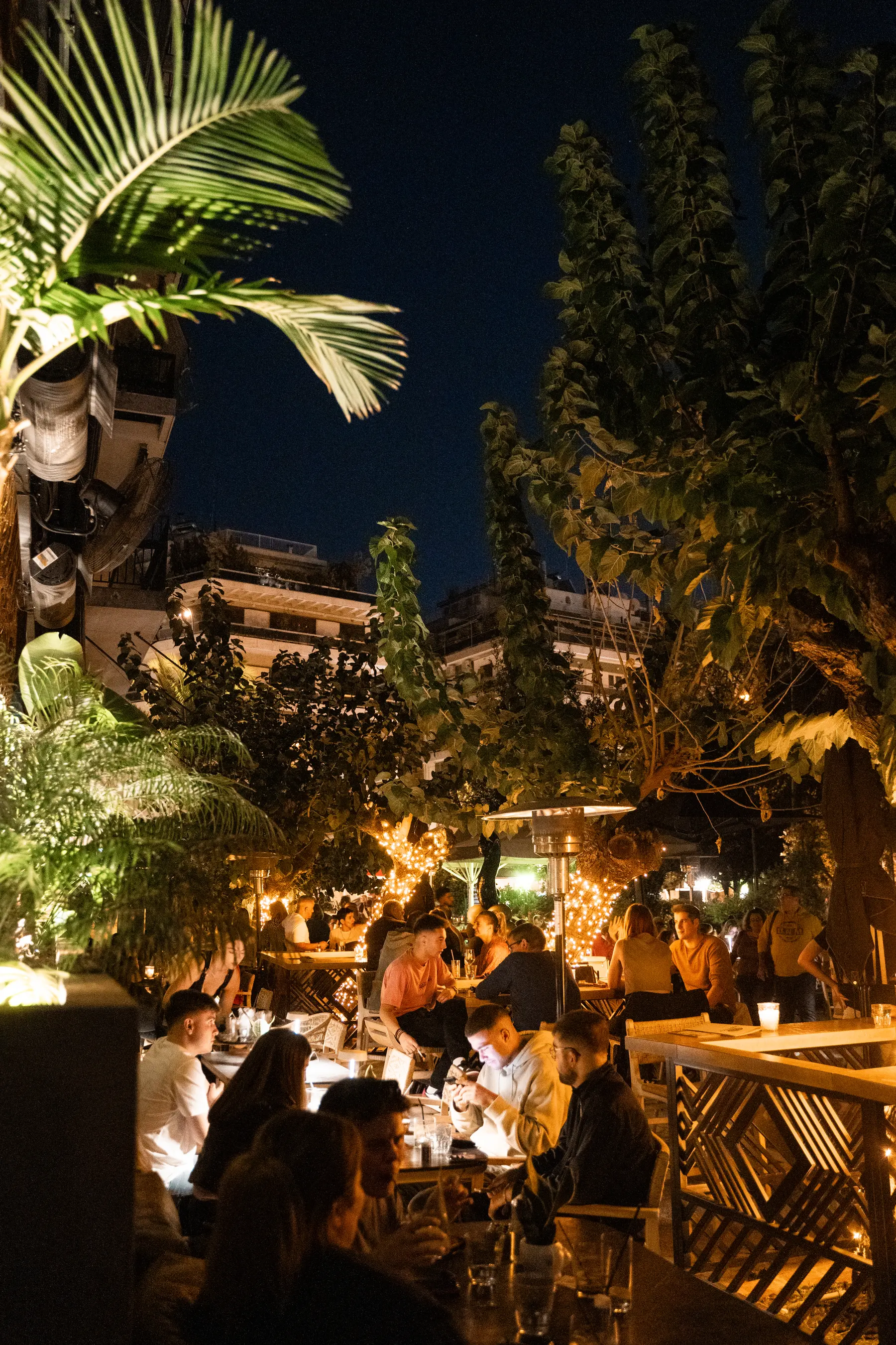 La terrazza al tramonto, una palma contro il cielo blu su Piazza Brasile
