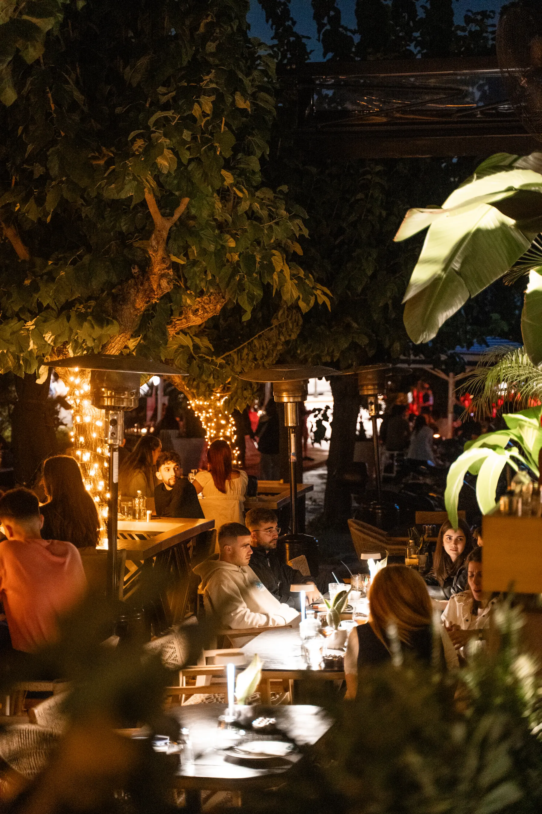 Ospiti in terrazza sotto gli alberi e le lucine da Iguazu Athens