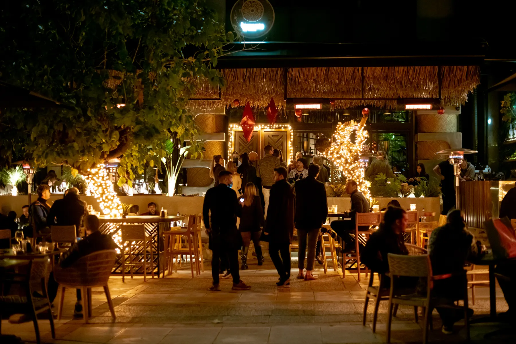 La terrazza di sera, tavoli sotto gli alberi e file di lucine da Iguazu Athens